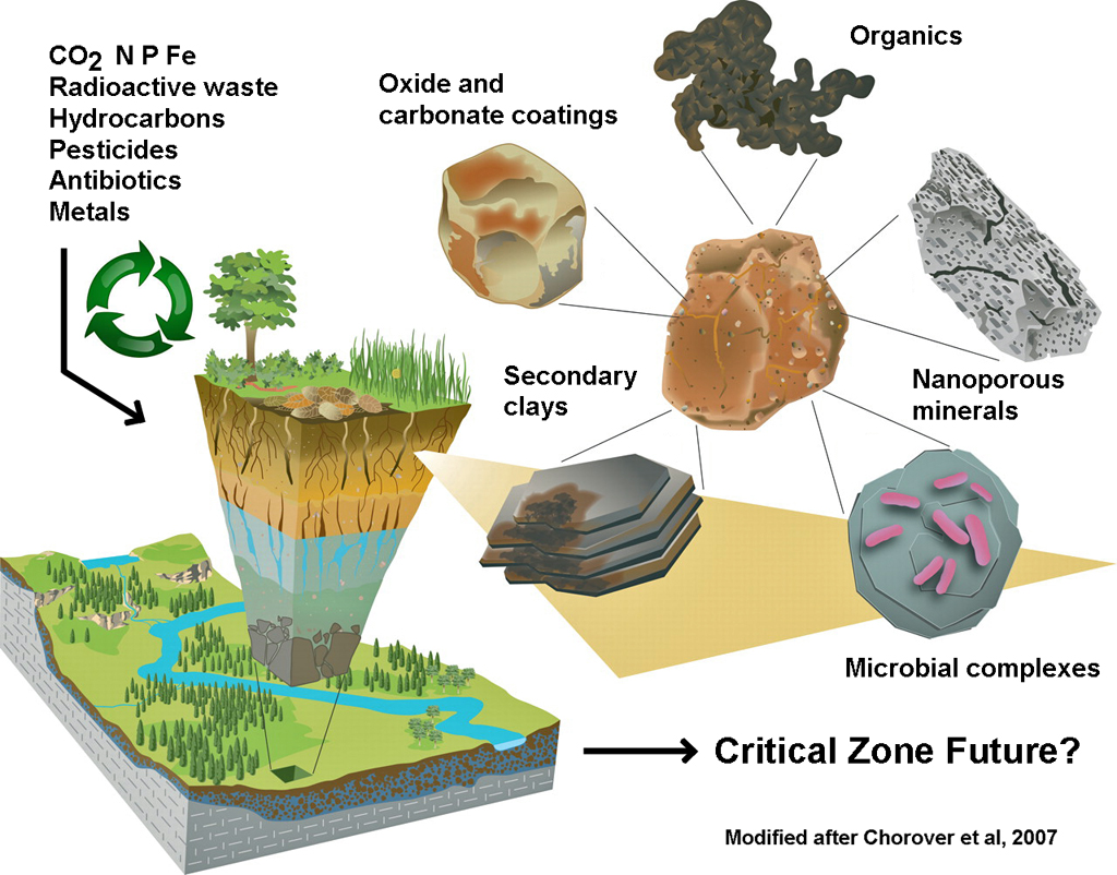 Clays in the Critical Zone: soils, weathering and elemental cycling